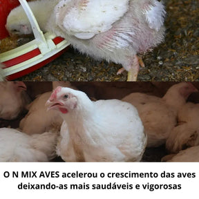 Redução de Mortalidade e Ganho de Peso para Aves de Corte e Postura - Suplemento Completo com Bacitracina de Zinco