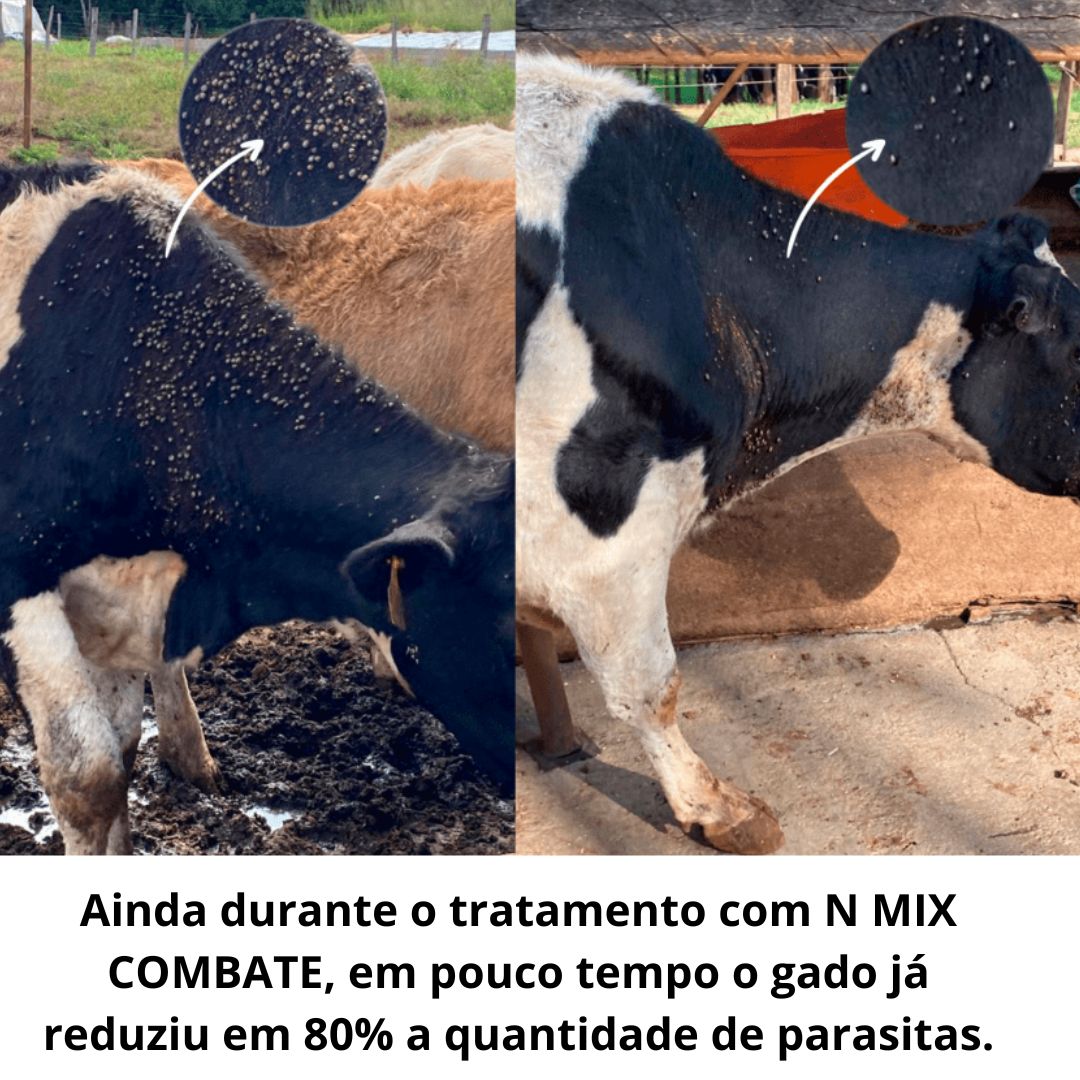 Suplemento Nutricional para Bovinos e Bubalinos – N MIX COMBATE