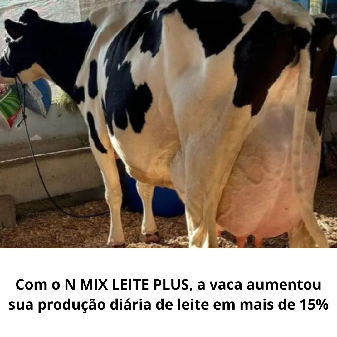 Suplemento Nutricional para Vacas e Cabras em Lactação – N MIX LEITE PLUS