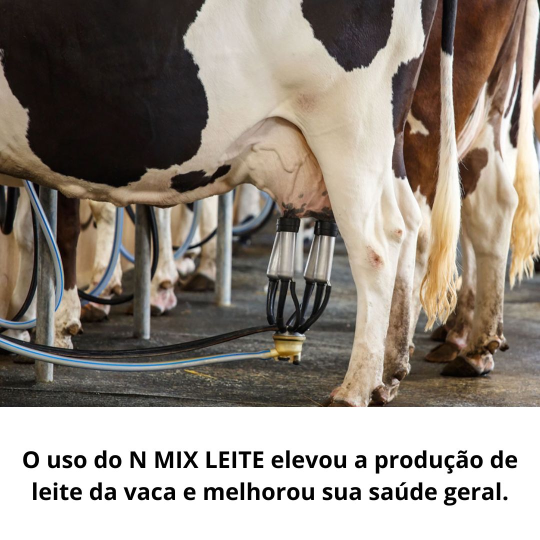 Suplemento Mineral para Vacas e Cabras Lactantes - N MIX LEITE MONENSINA