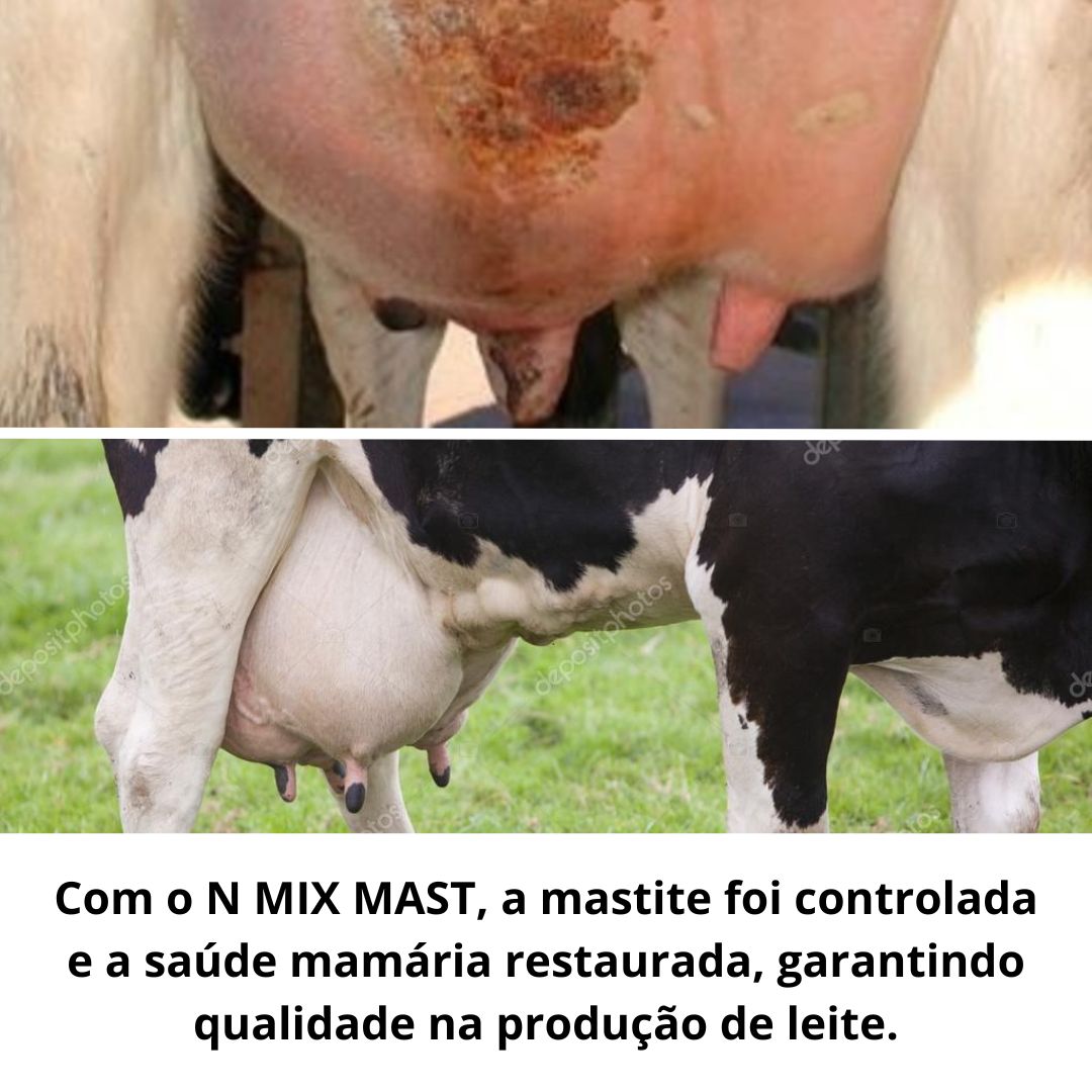 Suplemento Nutricional Combate Mastite Bovinos, Caprinos e Ovinos – N MIX MAST