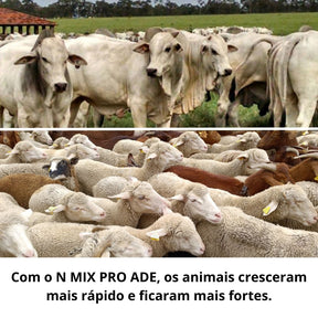 Suplemento Nutricional com Vitaminas Essenciais para Bovinos, Suínos, Aves e Caprinos